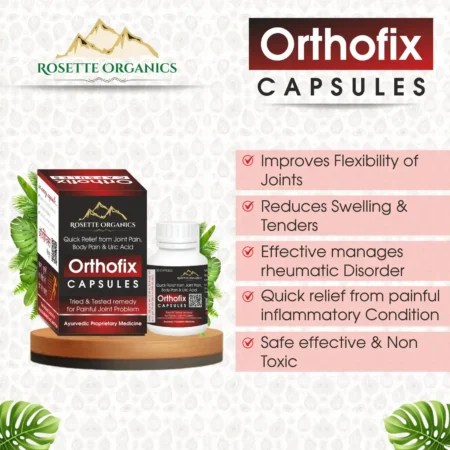 Key Benefits of Orthofix Capsule