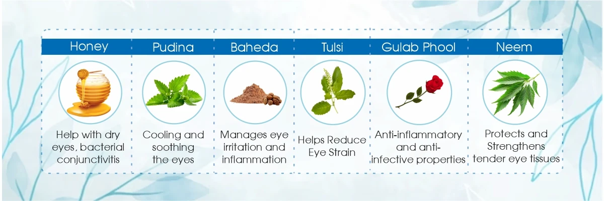 Ingredients of Divya Drishti
