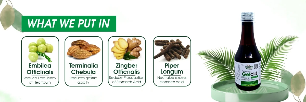 Ingredients of Gelcid Syrup