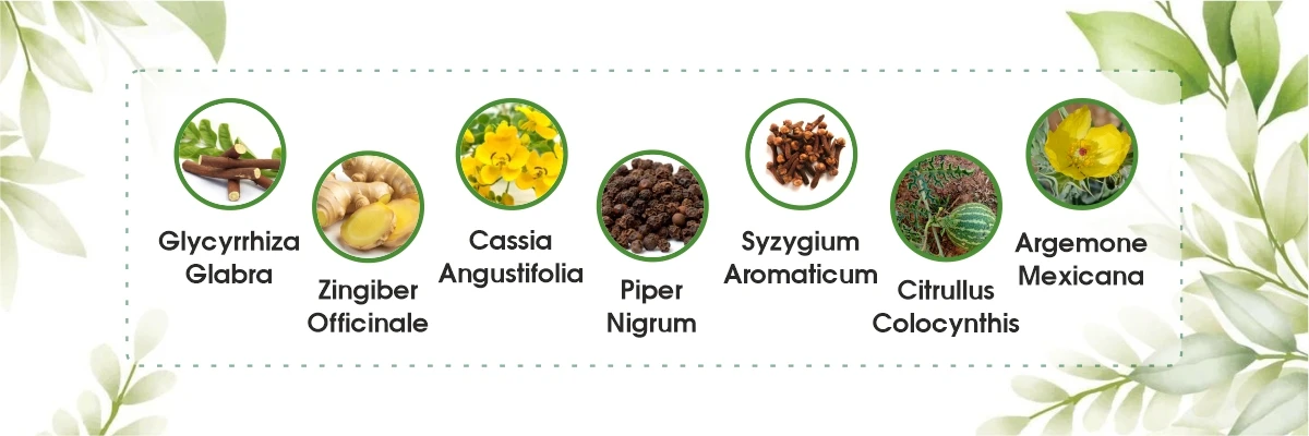Ingredients of Nasya Shakti
