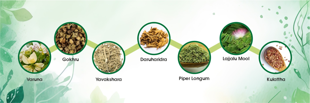Ingredients of No Stone Syrup