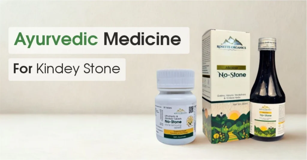 Ayurvedic Medicine for Kidney Stone
