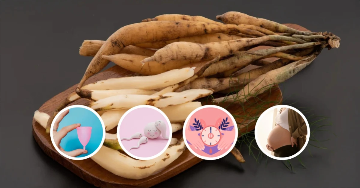 Benefits of Shatavari for Women