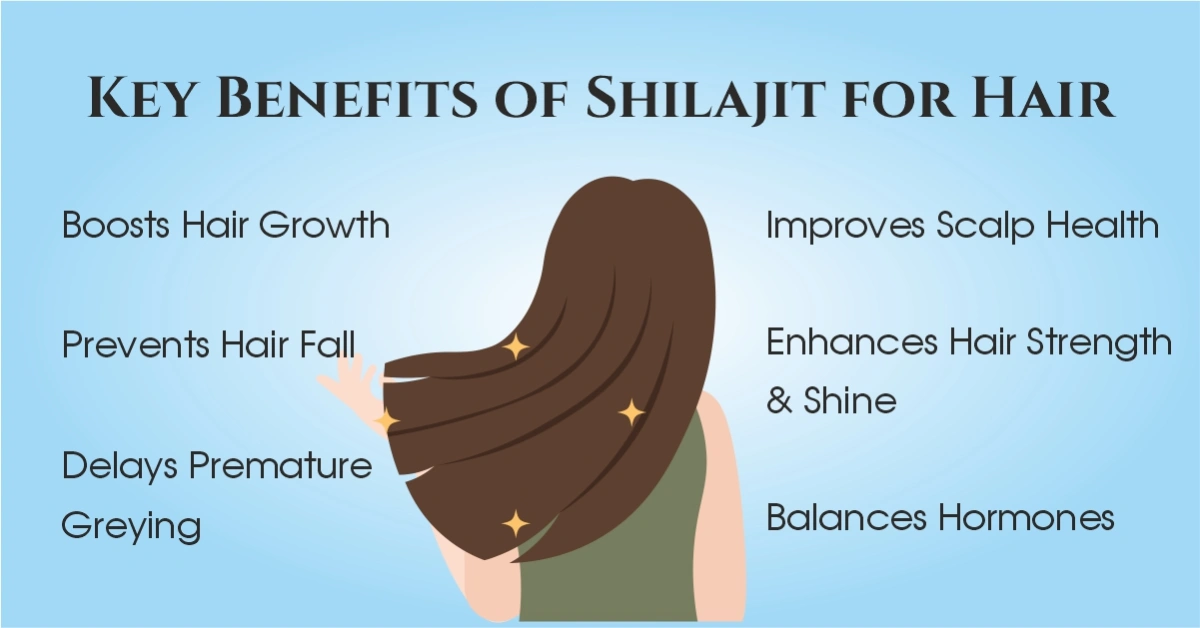 Key Benefits of Shilajit for Hair