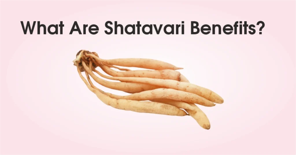 Shatavari Benefits