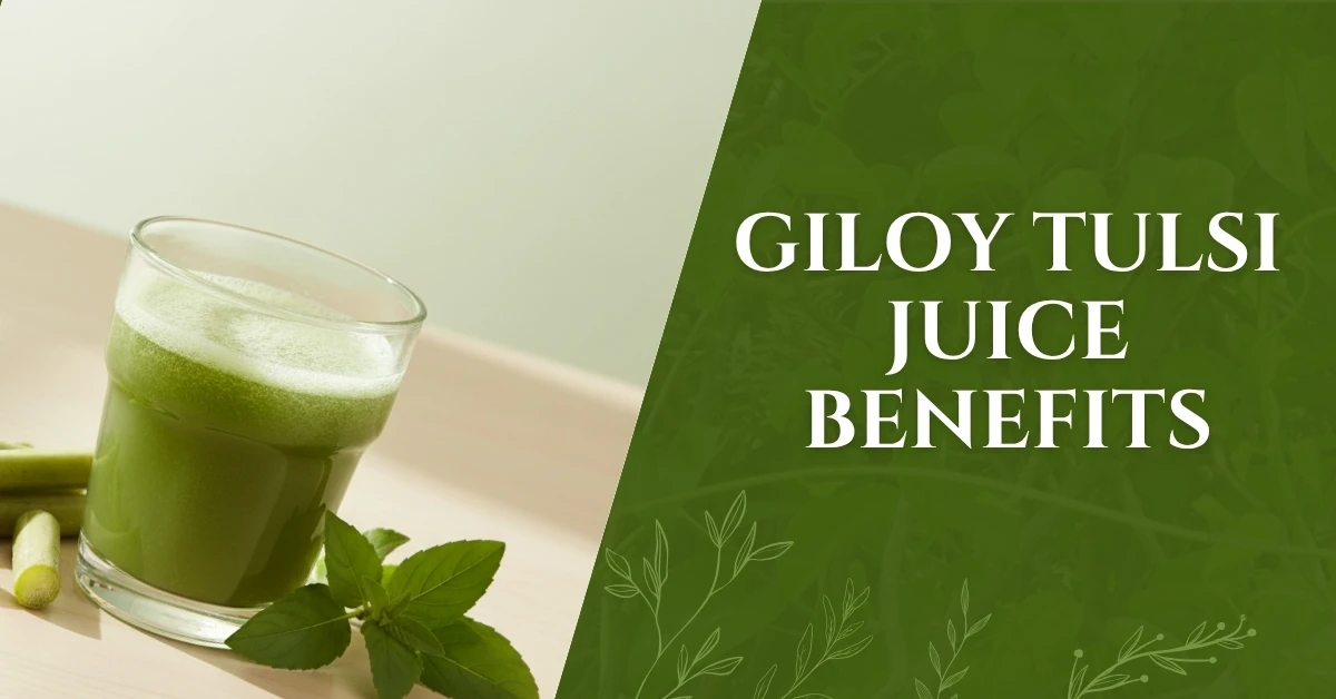 Giloy Tulsi Juice Benefits