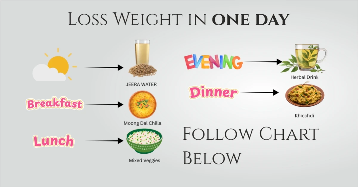 One-Day Fat Loss Meal Plan