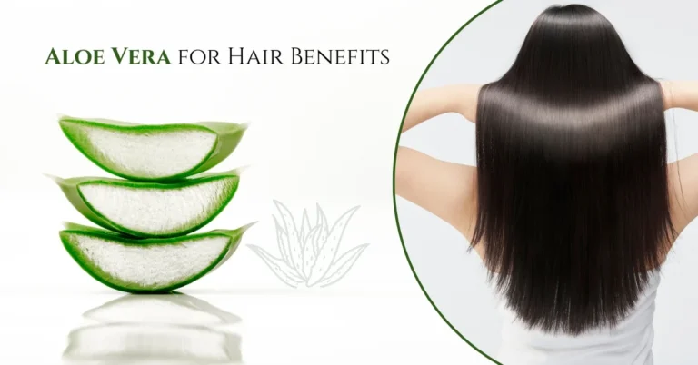 Aloe Vera for Hair Benefits
