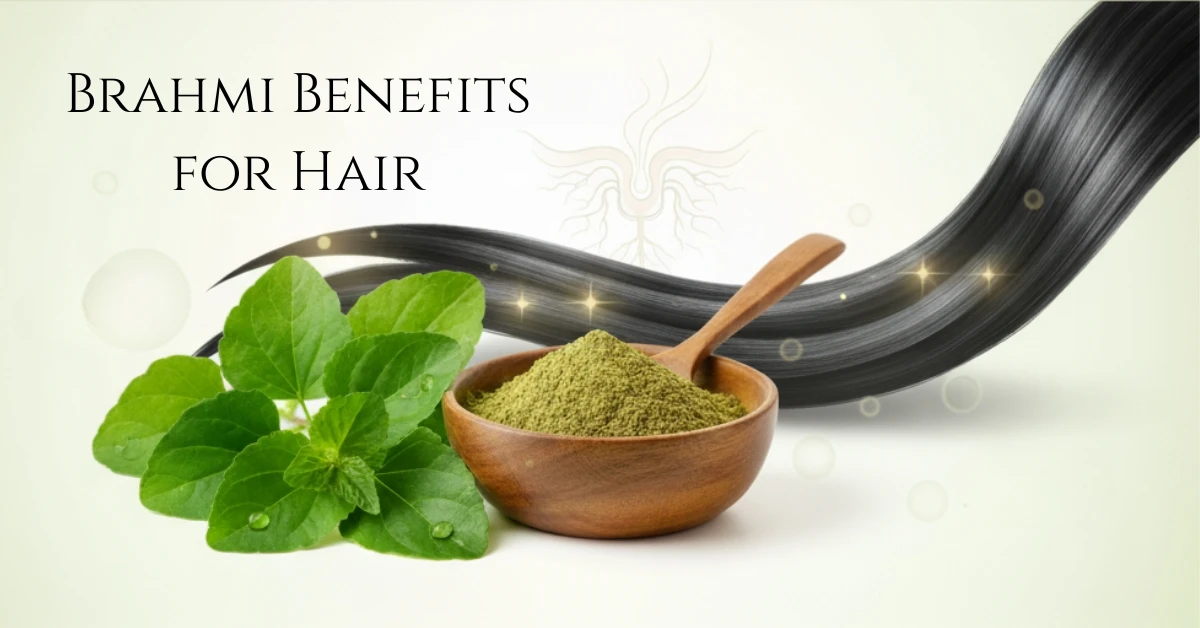 Brahmi Benefits for Hair