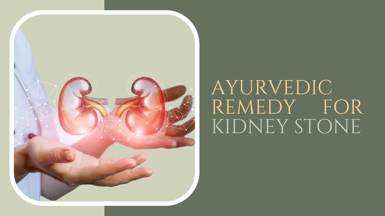 Ayurvedic Remedy for Kidney Stone