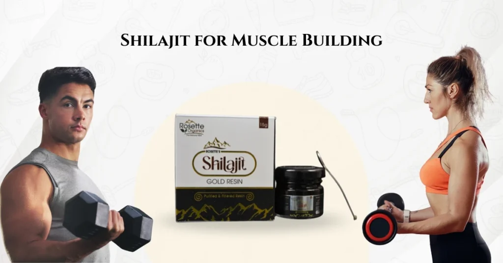 Shilajit for Muscle Building