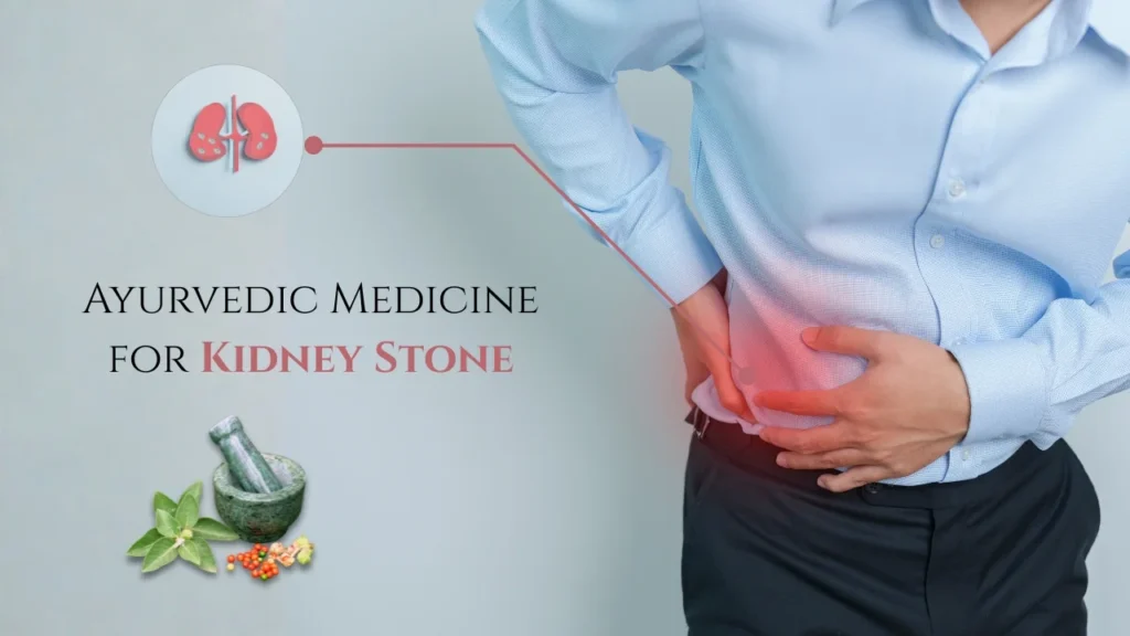 Ayurvedic Medicine for Kidney Stone