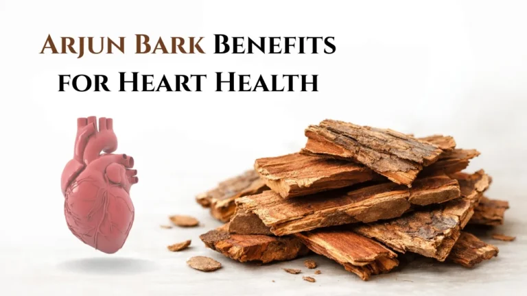 Arjun Bark Benefits for Heart Health