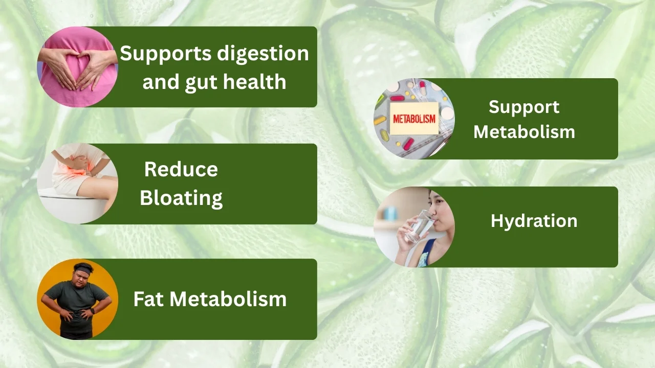 Aloe Vera Juice Weight Loss Benefits