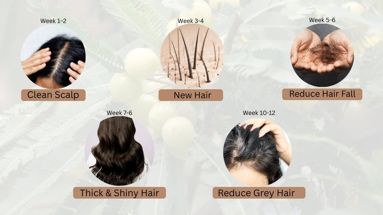 Amla Juice Benefits for Hair