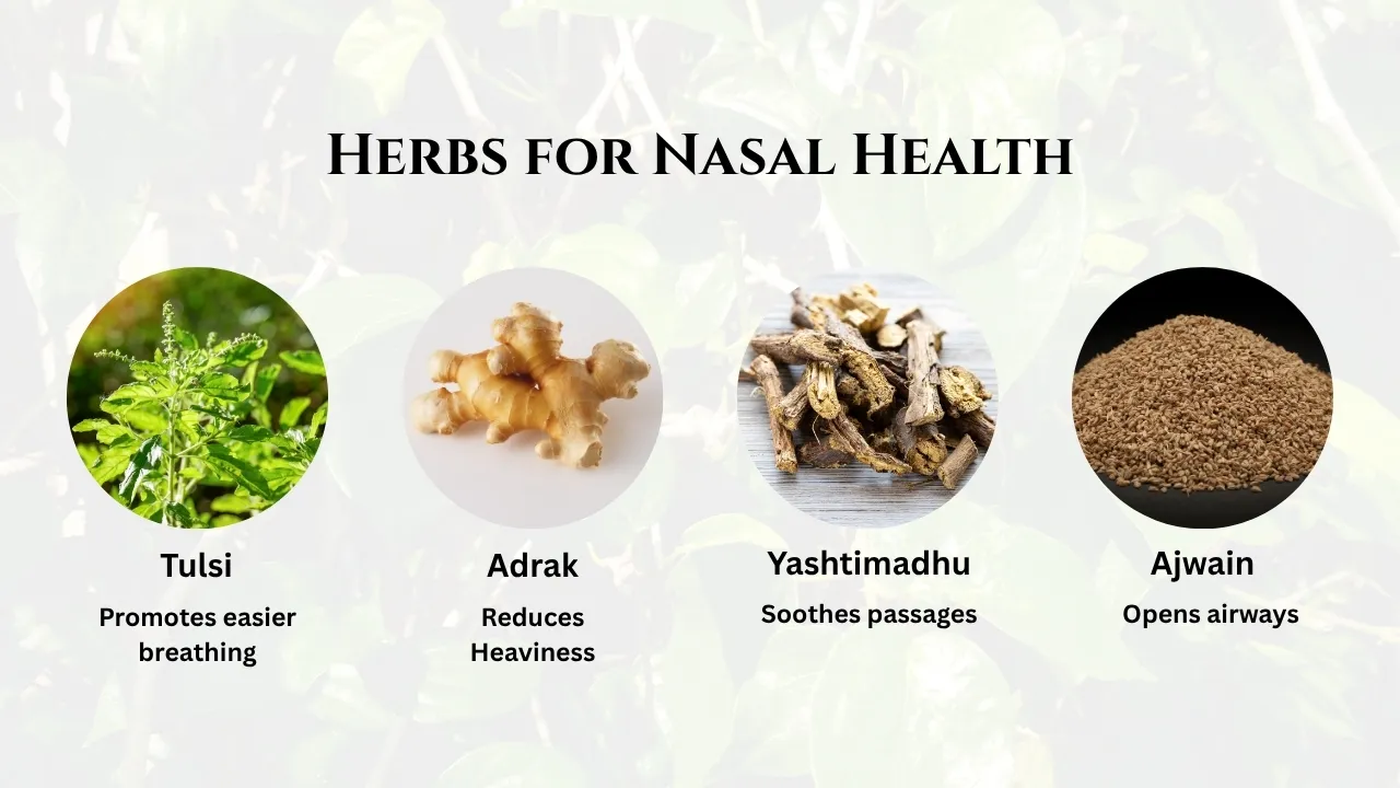 Herbs for Nasal Health