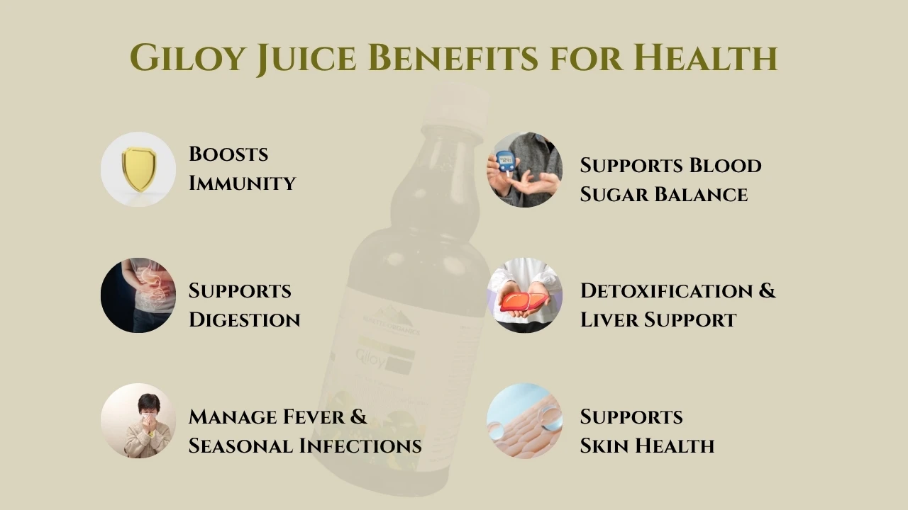 Giloy Juice Benefits for Health