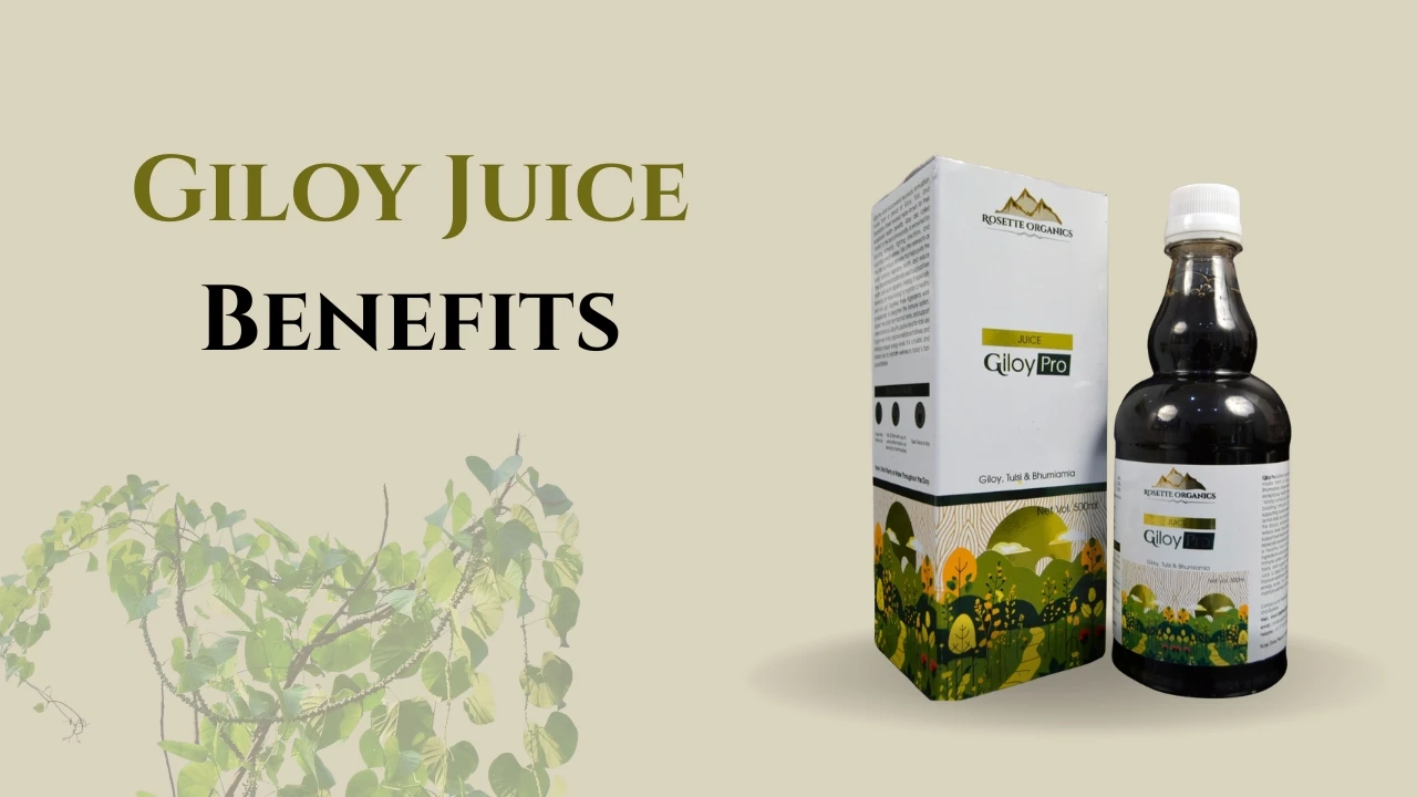 Giloy Juice Benefits