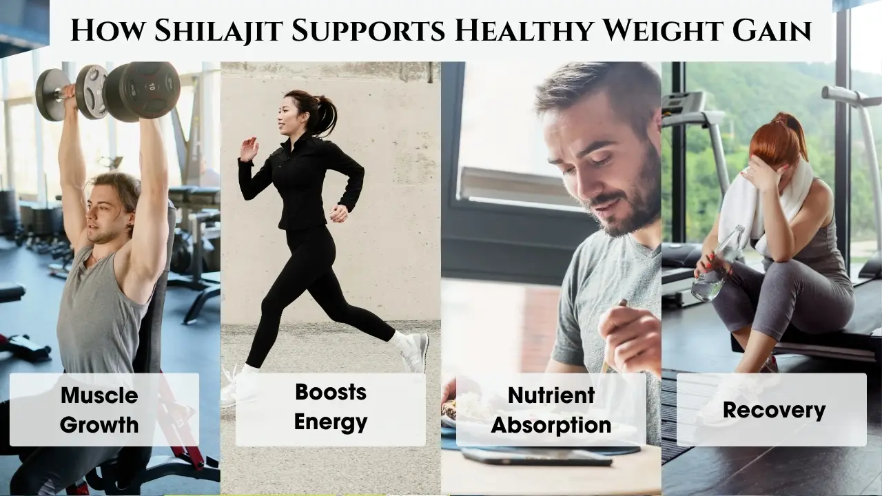 How Shilajit Supports Healthy Weight Gain
